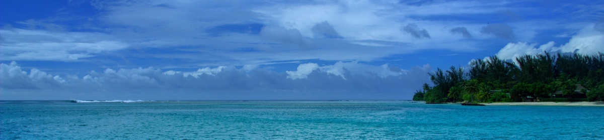 Ein Bild von einer Insel mit Palmen, dem Meer und dem Himmel